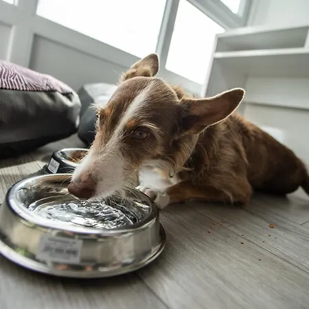 Отель Atlantico